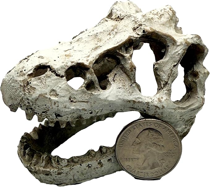 Mini T-Rex Skull Aquarium & Reptile Tank Decor – Dinosaur Fossil Hideout for Fish, Geckos, Hermit Crabs, and Terrariums – Small Resin Jurassic Decoration for Aquascape, Vivarium, or Pet Habitat