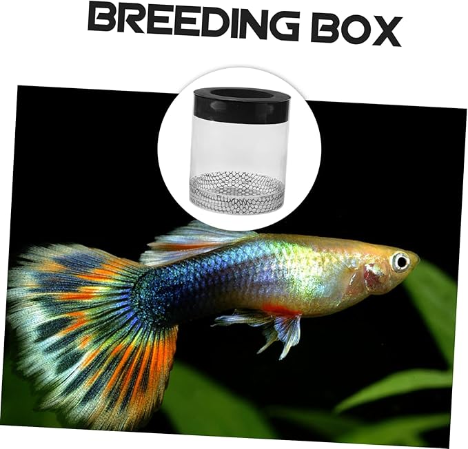 Ipetboom Fish Tank Hatching Box Floating Breeding Box Survival Rate Enhancer for Baby Fry Fish