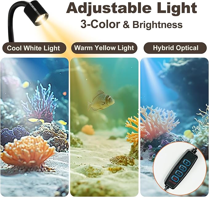 Desktop Aquarium Mini Tank Kit, 1.2 Gallon Rimless Cube with Filter, LED Spotlight, Black Background, Glass Construction, Pipette for Betta Fish, Guppies, Tetras