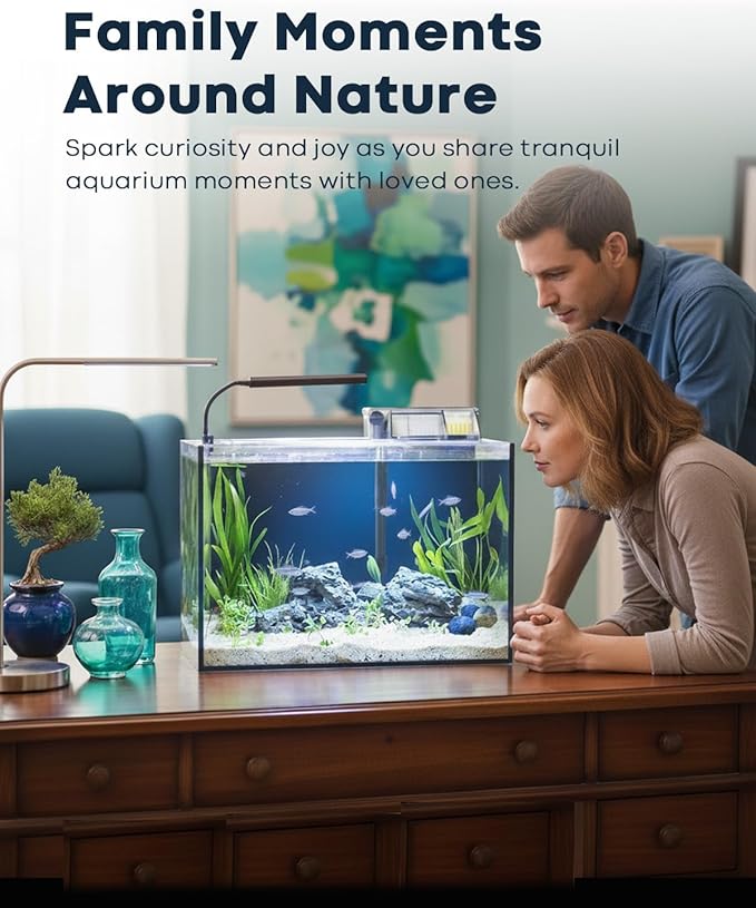 10 Gallon Aquarium Set Glass Fish Tank, Heater Self Cleaning System Filter with Media Bright Light Cleaning Tool, Leak-Proof Clear Rimless Betta Tropical Freshwater Fish