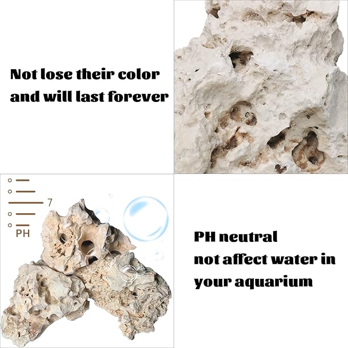 Hamiledyi Aquarium Holey Rock Stone White Coral Ornament Sea Base Rocks for Aquarium Aquascaping Natural Limestone Decor for Fish Tank Aquatic Shrimp Pet Reptile Habitat (Random Size and Quantity)