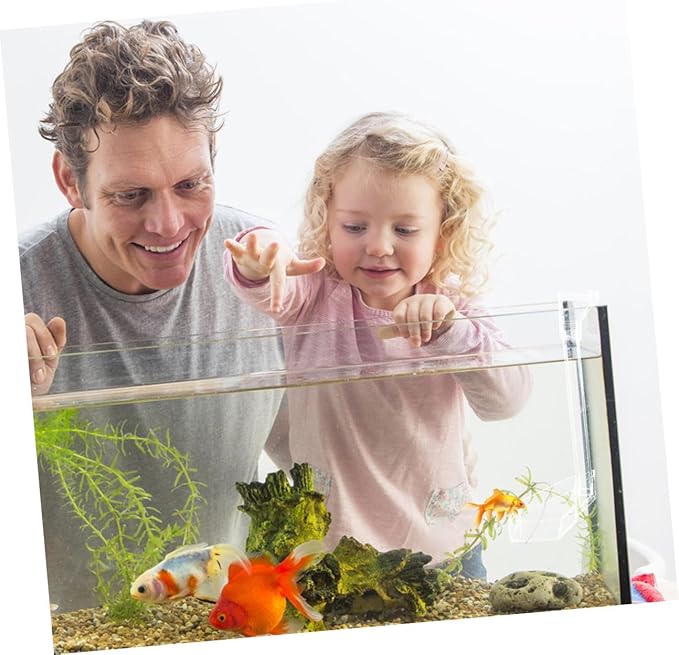 KALLORY Acrylic Aquarium Fish Feeder Tube 28cm Shrimp Feeding Dish Tray Fish Tank Accessories for Automatic Feeding in Aquariums