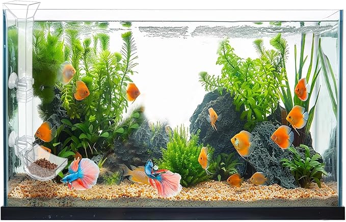 Aquarium Fish Shrimp Feeding Dish Set - Clear Feeder Tube and Dish With Cleaning Brush and Measuring Spoon for Preventing Food Scattering - Supplies for Shrimp Medium