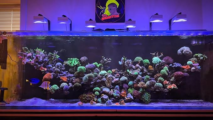NEW PopBloom 3xRL115 WiFi & APP Programmable LED Reef Aquarium Light 360W for 60" 72" Marine SPS LPS Corals & Saltwater Tanks (RL115 with Arm Kitx3)