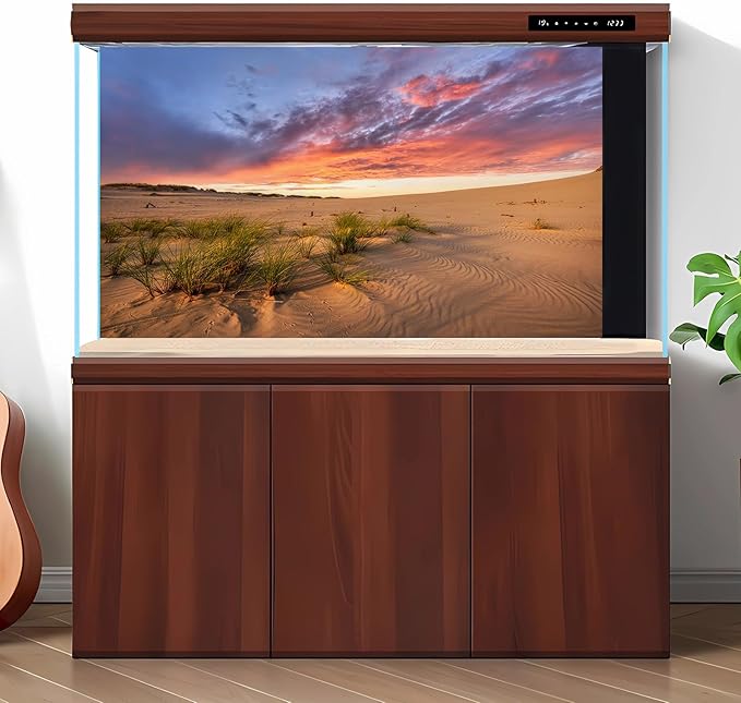 Sunset Desert Reptile Tank Background Majestic Desert Landscape Terrarium Background Desert Sand Dunes Reptile Habitat Background Sunrise Gobi Barren Thorns Aquarium Fish Tank Background 72x16in