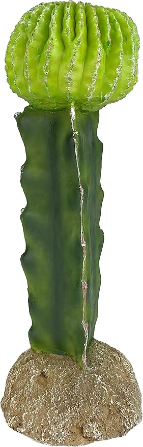 Multi Pet 48593325: Komodo Cactus Plant Moon, 7.5In