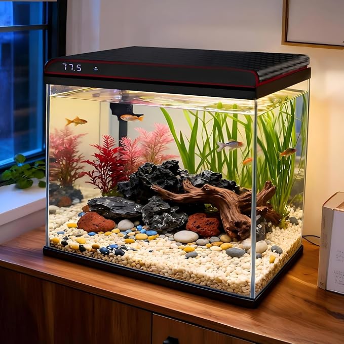 Coospider 10 Gallon Glass Fish Tank, Aquarium Starter Kit, Simple Self-Cleaning Aquarium with 3-Color LED Lights, Quiet Filter Pump, Temperature Monitoring for Fish, Shrimp, Kids Gift Ideas