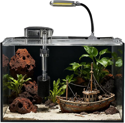 2.5 Gallon Fish Tank Starter Kits, with Led Light, Filter Pump, Cover, Small Fish Tank Betta Aquarium (30x18x20CM)