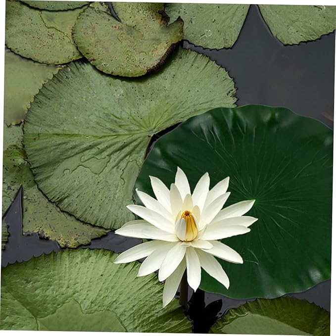 DOITOOL Pool Fish Tank Simulated Lotus Leaves Floating Lotus Leaf Fake s Leaf Ornament Aquarium s Leaves Fake Plant Decor Fishpond s Floating Pond Decor Photo Props