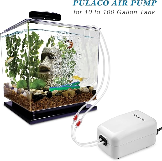 PULACO Dual Outlet Aquarium Air Pump, Quiet Oxygen Pump with Accessories for 10 to 100 Gallon