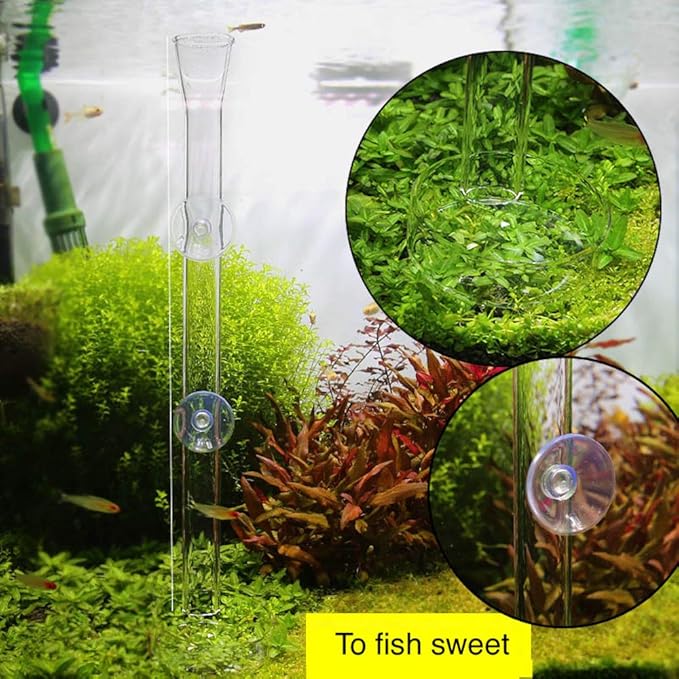 Shrimp Feeding Tube and Dish,Clear Crystal Glass Shrimp Feeder Tube Tray for Fish Tank Aquarium Shrimp