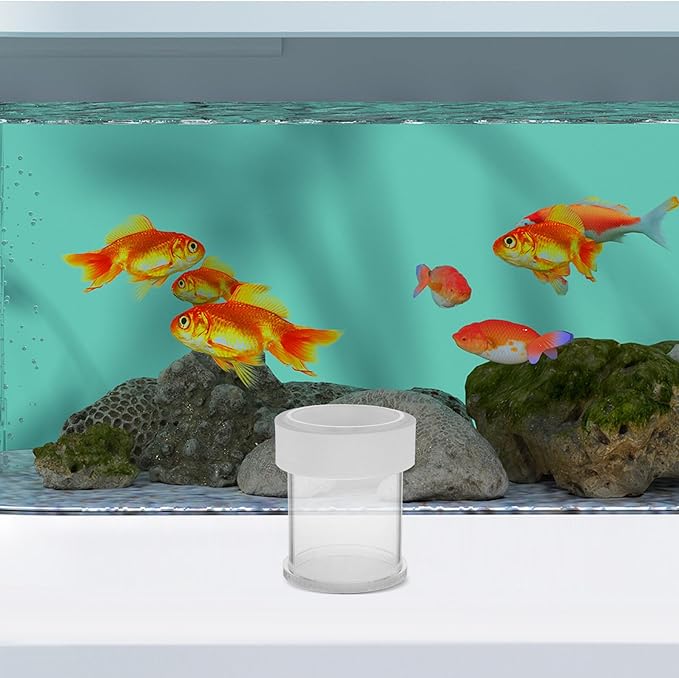 ibasenice Fish Tank Feeder Floating Acrylic Shrimp Feeder Ring Large White Betta Fish Feeding Bowl Semi-Automatic Aquarium Feeding Accessory for Vacation and Daily Use