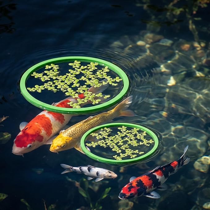 10 Pcs Fish Feeding Ring Set, 5 Sizes Floating Aquarium Feeding Ring, Round Feeder Rings Floating Plant Barrier Corral Rings Tank Accessories for Goldfish, Betta