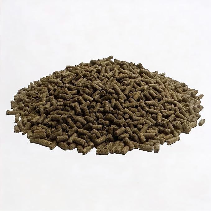 Wpc-Co. Freshwater Shrimp Food | Cherry & Ghost Shrimp Food | Aquarium Shrimp Food Pellets | 1.5oz