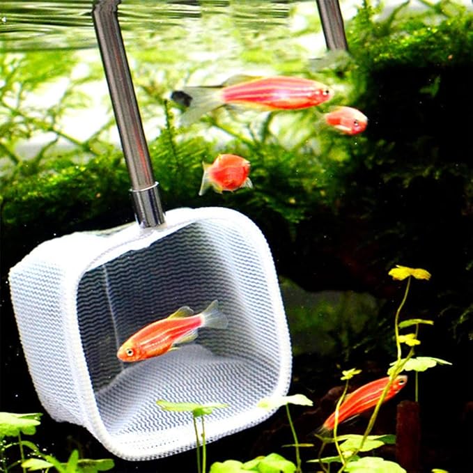Fish Shrimp Skimming Net, Fishing Landing Net Fine Mesh Extendable Telescopic Fish Shrimp Skimming Net Stainless Steel Handle Fishing Net for Aquarium Fish Pond Creek(Red)