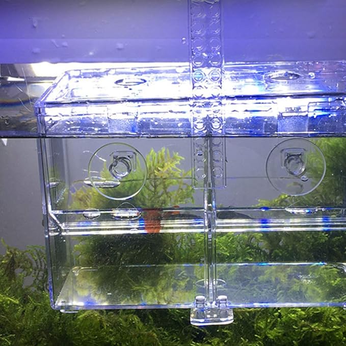 Fish Breeding Box Acrylic Aquarium Fish Box with Hook Aquarium Acclimation Hatchery Incubator for Shrimp Clownfish Guppy