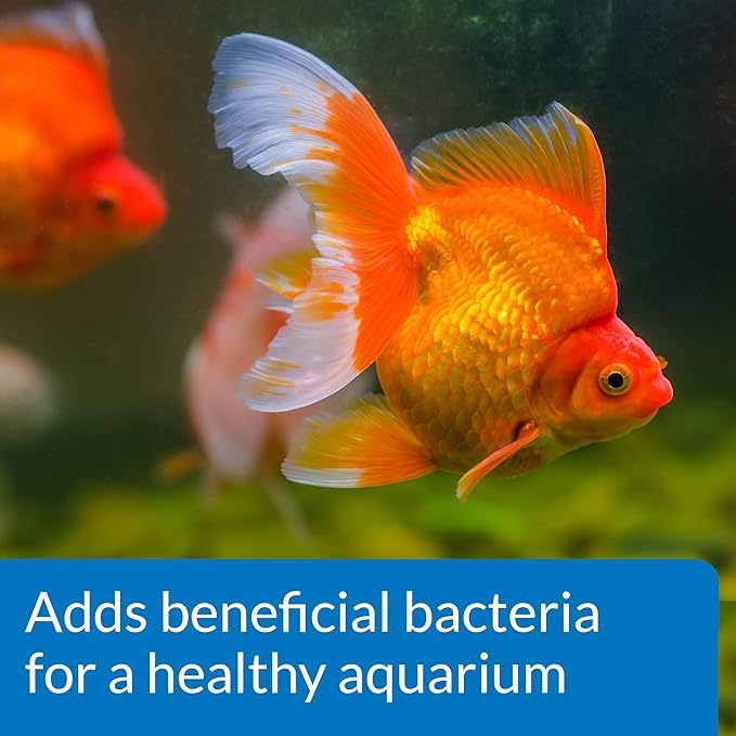 API Goldfish Protect Aquarium Water Conditioner 4-Ounce Bottle (Pack of 2)