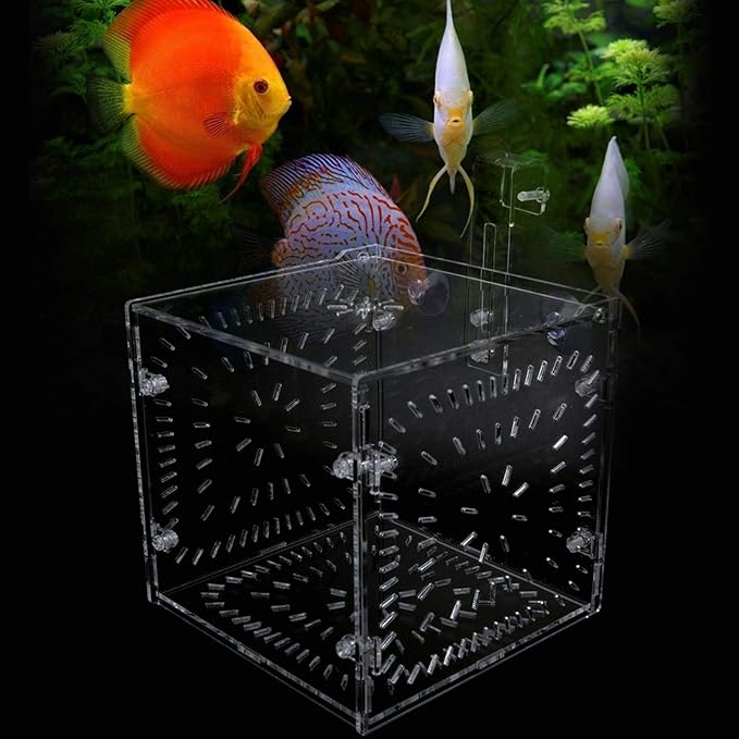 Aquarium Breeder Box for Fish Tank, Fish Breeding Box Tank Hatchery Incubator Aquarium Isolation Box for Seedlings Incubation(S)