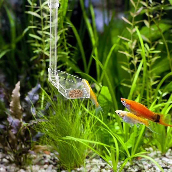 Acrylic Hanging Fish Feeder with Shrimp Feeding Dish and 21cm Feed Tube for Aquarium Tanks Automatic Aquarium Feeder Suitable for Fish and Shrimp Feeding