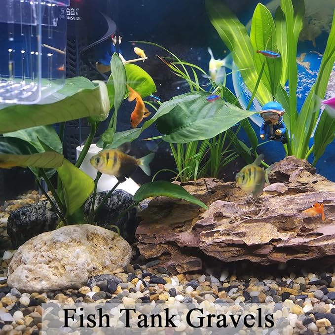 FANTIAN 5 lbs Aquarium Gravel, Pea Gravel for Fish Tank,1/4 Inch Decorative River Rocks for Aquarium Succulent Vase Plant Soil Cover and Outdoor Landscaping