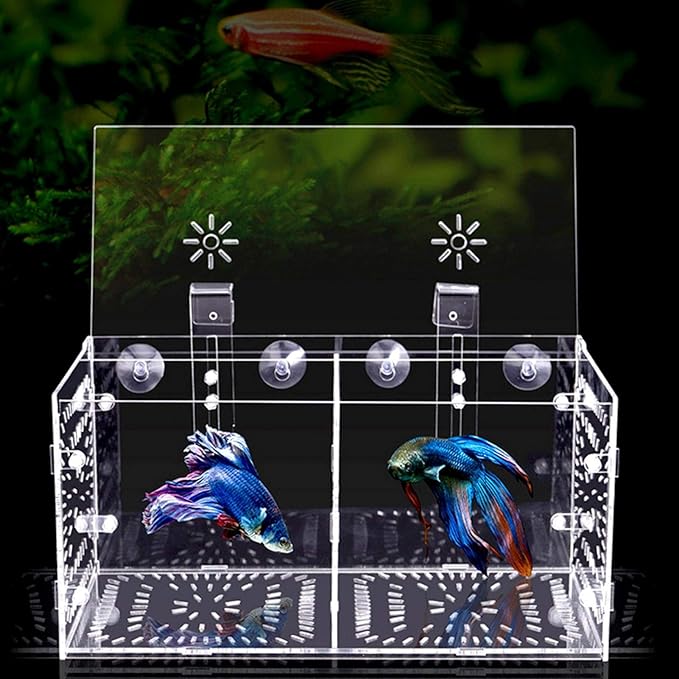 Aquarium Breeder Box for Fish Tank, Fish Breeding Box Tank Hatchery Incubator Aquarium Isolation Box for Seedlings Incubation(M)