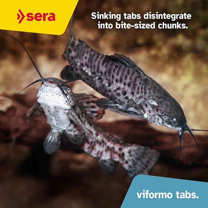 Sera Viformo Pleco Tabs 5.6 oz (250 ml) | Rich in gammarus & Seaweed Vitamins | Ideal for Bottom Feeders | No Artificial additives | Maintains Clear Water | 4% Protein-Rich gammarus