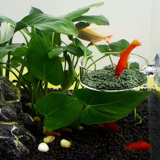 WEAVERBIRD 60mm Aquarium Shrimp Feeder Dish with Suction Glass Fish Tank Feeding Bowls Round Clear Dishes Tray