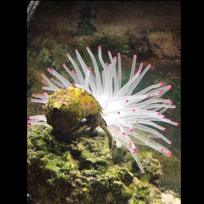 Artificial Aquarium Fish Tank Decoration Silicone Sea Anemone Artificial Fish Tank Ornament Decoration (White)