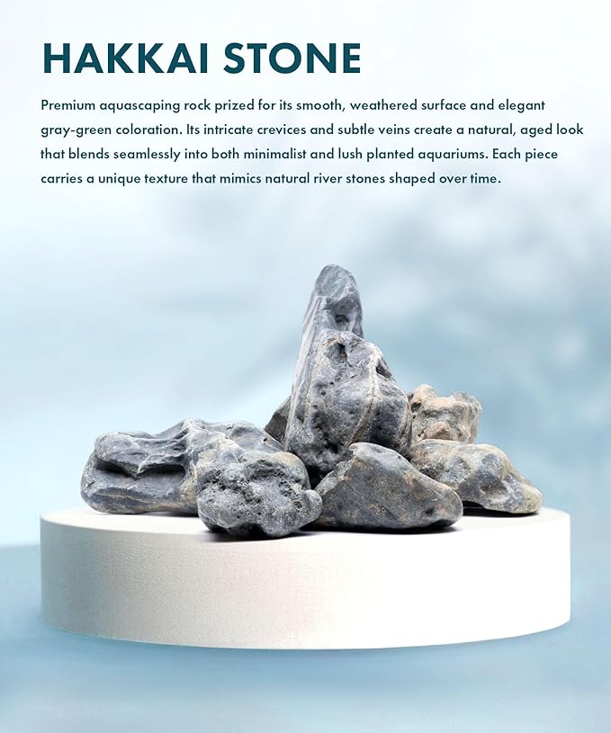 SubstrateSource Natural Aquarium Stones - Bug-Eaten, Pahai, Dark Bluish Green Decorative Aquascaping Rocks for Betta Fish Tank, Cichlids, Shrimp, Hermit Crab & Reptile Enclosure - Hakkai, 10 LB