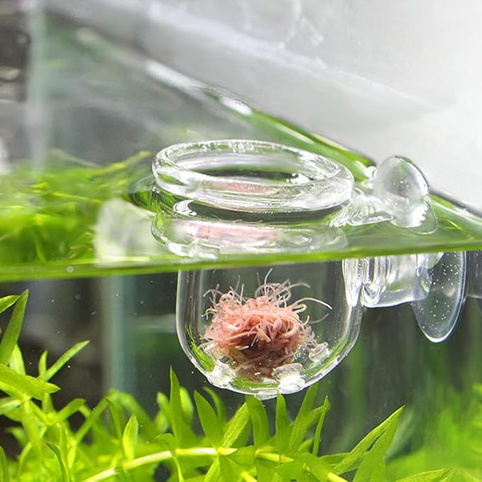 Shrimp Feeding Dish, Transparent Aquarium Feeding Dish with Strong Suction, No Mess Aquarium Glass Feeder for Feeding Shrimp, Fish and Reptiles in Tank, Glass Hole Cup
