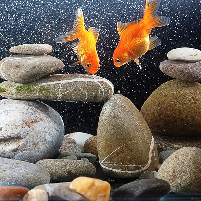 YISZM 40lbs Natural River Rocks, 3"-4" Premium Pebbles for Garden and Landscape Design, Hand-Picked Smooth Stones for Fish Tank, Flower Pots, Indoor Water Fountains, Pathways, Backyard