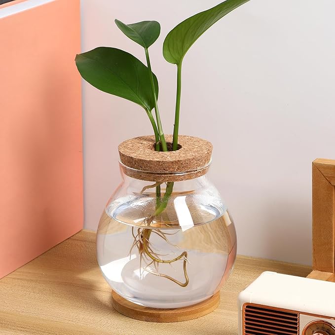 HANABASS Desktop Fish Bowl Hydroponic Terrarium Small Glass Betta Fish Tank with Wood Lid and Bamboo Stand for Home Office Decoration