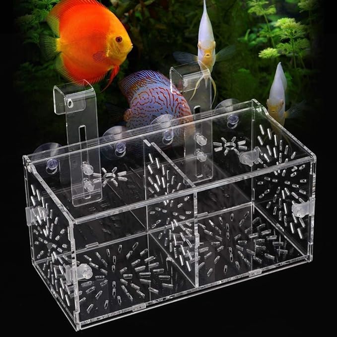 Rosvola Fish Isolation Box, Fish Breeding Incubator Holder Transparent Aquarium Hatchery Fish Tank Isolation Box (20Cm10Cm10Cm)