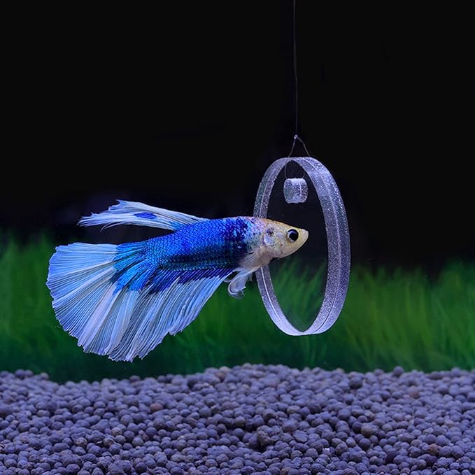 Thereisno Betta Training Mirror Fish for Tank Fish Antidepressant Work Out 5/6/7cm Special for Betta Fitness Mirror Training Mirror