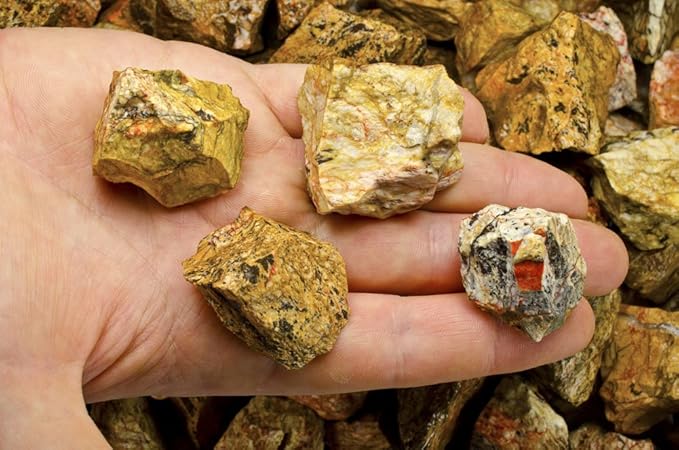 Fantasia Materials: 5 lbs Landscape Jasper Rough Stones from India