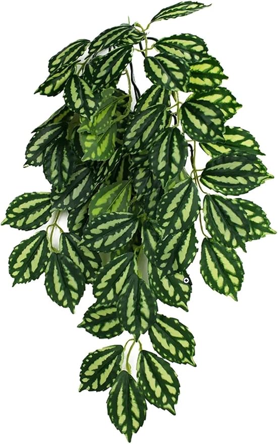 Multipet 48593302: Komodo Two-Toned Leaf Hanging Plant, Sm
