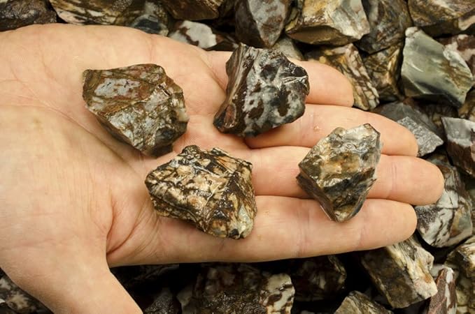 Fantasia Materials: 18 lbs Panther Jasper Rough Stones from India