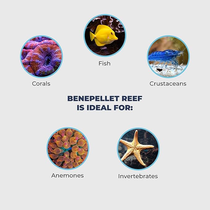 BenePellet Reef Food - Optimize Coral Color, Health & Nutrients, Shrimp, Inverts & Microorganism Feed, Designed for Autofeeders, 1.7mm Sinking Pellets - 38 Grams