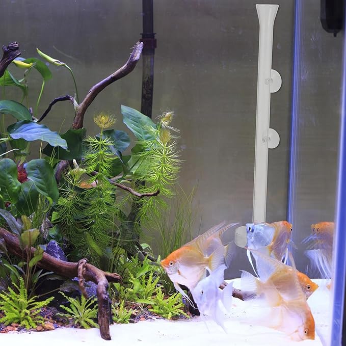 VALICLUD Shrimp Aquarium Feeder Tube with Glass 40cm and Feeding Box, Aquarium Fish Tank Accessory for Automatic Feeding of Aquatic Pets