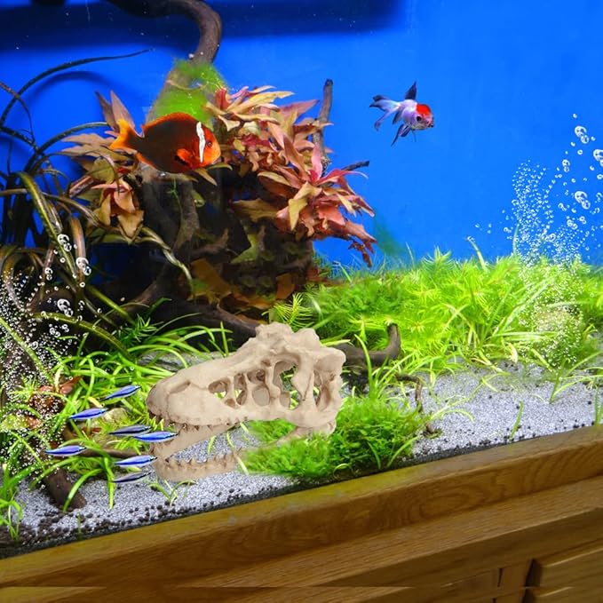 Fish Tank Decorations Dinosaur Skull Decor Resin Aquarium Decoration Accessories for Small Betta Fish, Hermit Crab Hideout Caves, Reptile House Ornament
