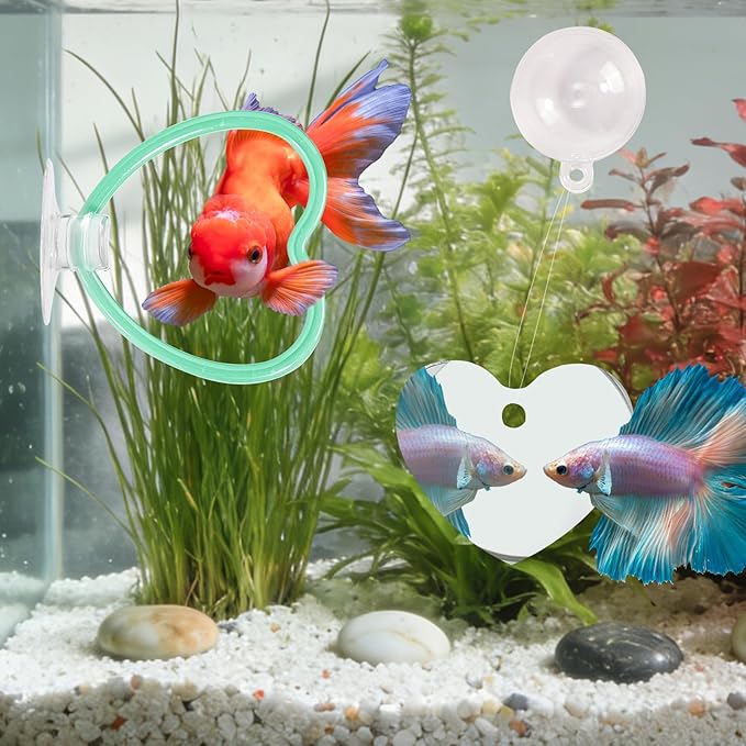 Betta Fish Toys, 2 PCS Heart Fish Exercise Ring and Nitrifying Balls Set, Heart Betta Mirror Toy Set, Feeding Ring with Suction Cup, Fishing Tank Accessories for Gifts (Green)