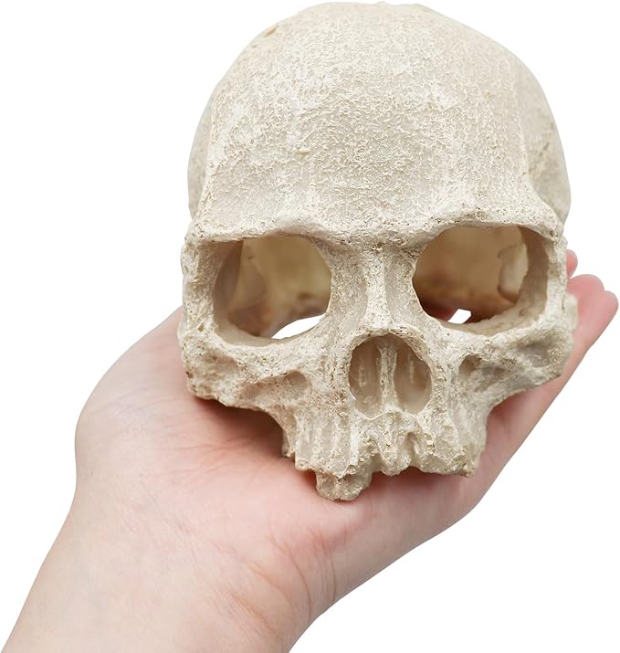 Snake Hideout, Reptile Aquarium Skull Decor, Resin Skeleton Head Fish Hide, Tank Terrarium Accessories, Reptile Hides and Caves for Fish Bearded Dragon Ball Python Leopard Gecko 4.7 × 3.5 × 3.7 Inch
