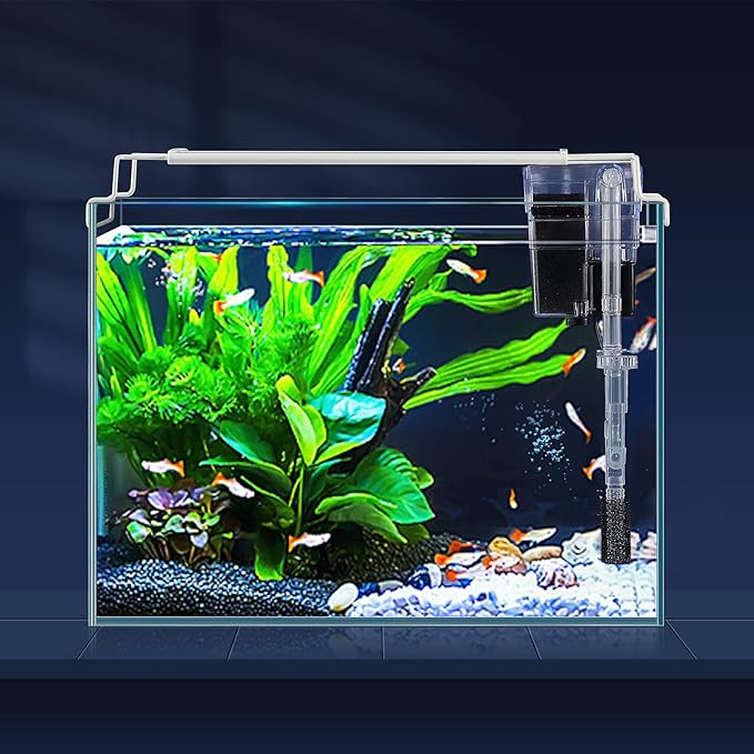 LAQUAL 3 Gallon Ultra Clear Glass Fish Tank and 5 Gallon Aquarium Filter, Rimless Low Iron Aquarium for Betta/Nano/Goldfish/Snail/Shrimp