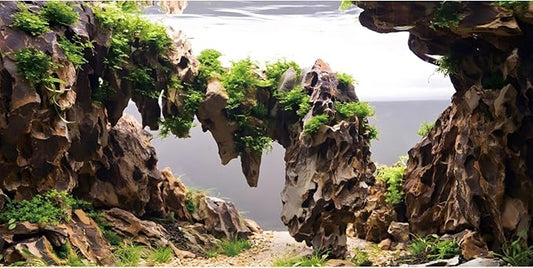 AWERT 72x24 inches Viewing Stone Fish Tank Background Aquatic Plant River Bed & Lake Aquarium Background Seaweed Aquarium Vinyl Background