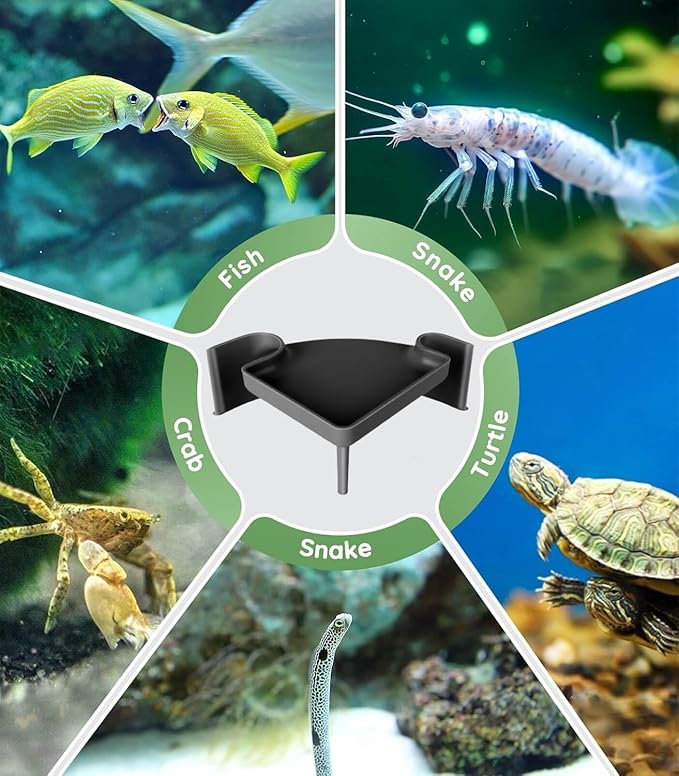 CPLIKE Aquarium Cave Hideout with Viewing Window – Corner Fish Tank Tunnel for Pleco, Cory Catfish, Kuhli Loach, Shrimp & Betta – 2 Hole Plastic Breeding Shelter for Bottom Dwellers (6"x6"x2.5")