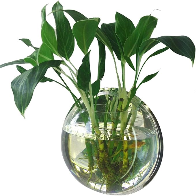 YUHOME Home Decoration Wall Mount Fish Tanks Goldfish Bowl Acrylic Hanging Aquariums Flowerpot Flower Vase, 150mm diameter & type 1