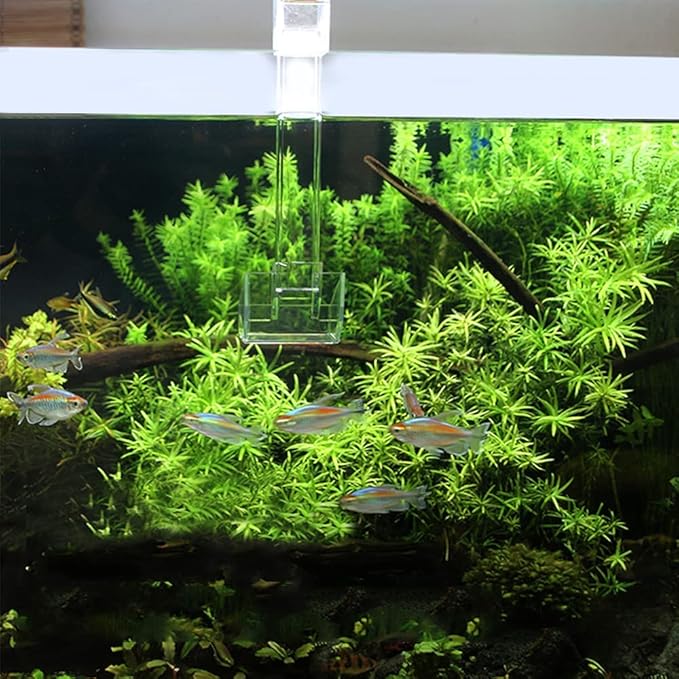 Shrimp Fish Feeding Dish, Aquarium -Sky Restaurant- Betta Feeding - Prevent Food Spilling, Fish Feeder, Also Easy to Clean Up The Food Left Over, African Feeding, Dwarf Frogs Feeding (L)