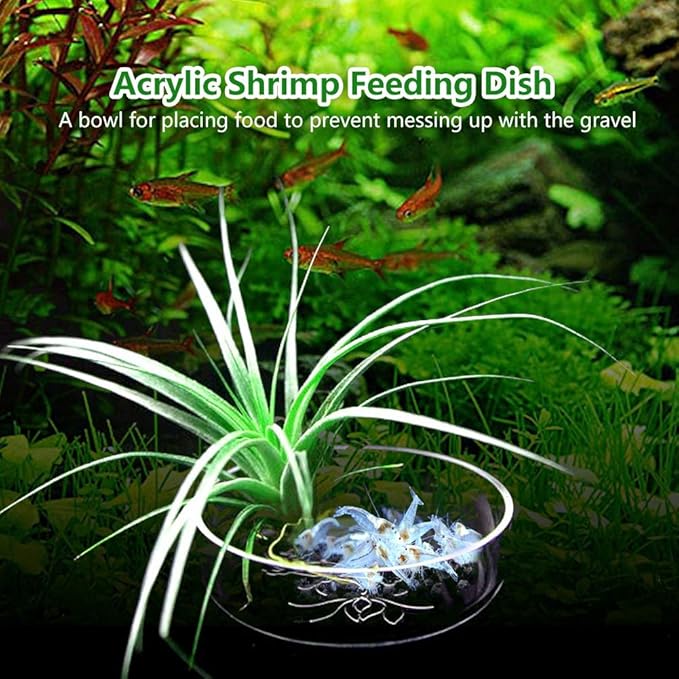 Acrylic Aquarium Shrimp Feeding Dish Bowl, Transparent Fish Food Container Feeder Tray Smaller Reptile Pets Feeder Dish