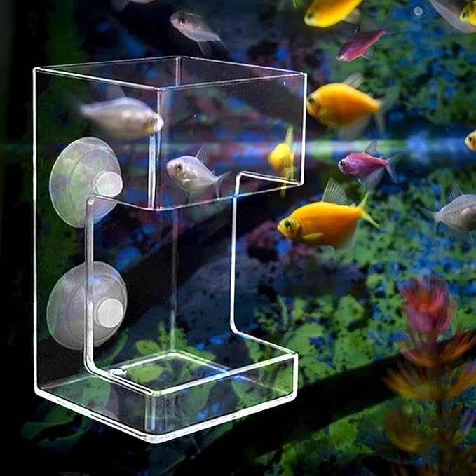 Fish Feeder Acrylic Worm Feeder Artemia Clear Floating Fish Tank Dish Tray Shrimp Feeder Dwarf Shrimp Golden Fish Betta Fish, Cuboid