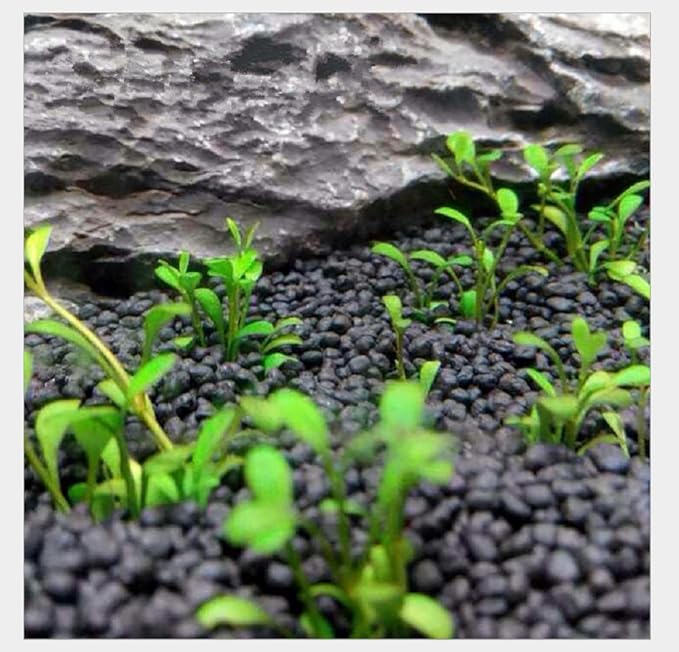 Hewnda 2 LB to Complete Freshwater Planted Aquarium Substrate,Aquatic Plant Cultivation Medium